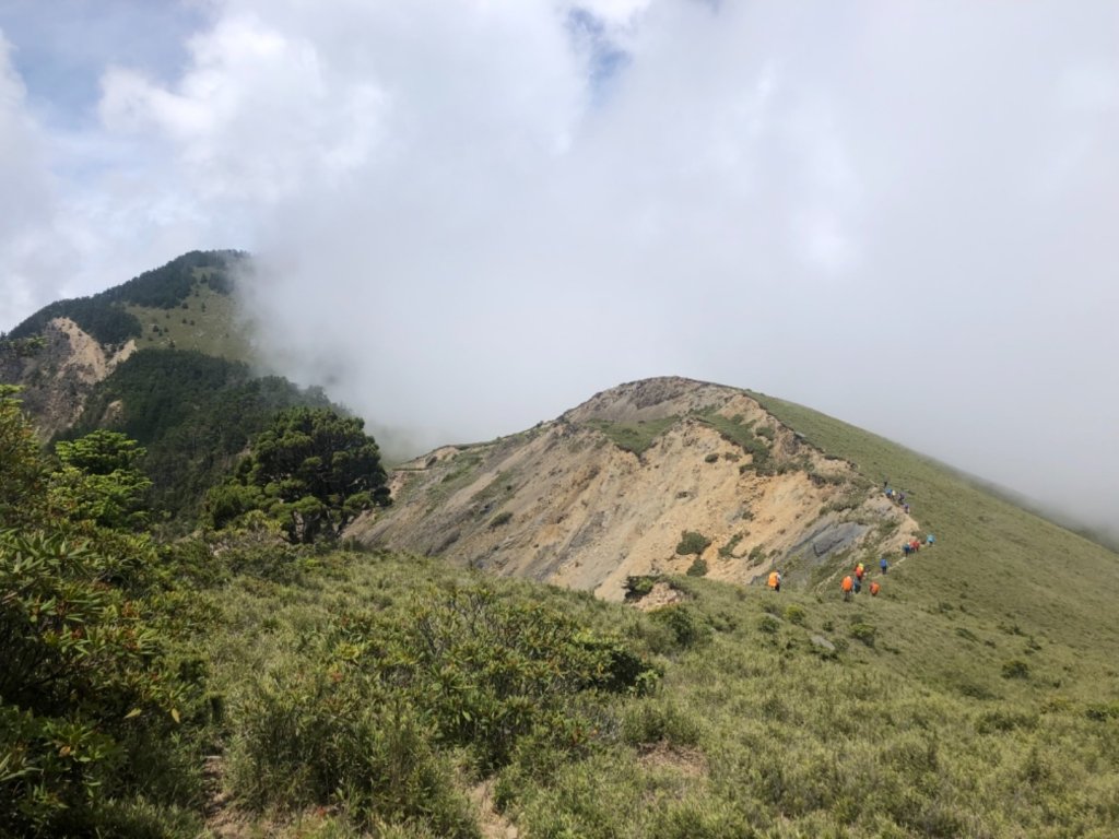 雪山西稜+大安溪神木_636521