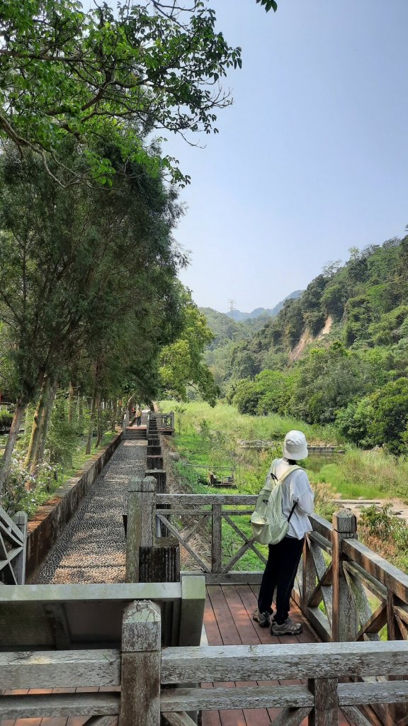 《苗栗》鳴鳳古道｜樟之細路古道巡禮20210402_1330579