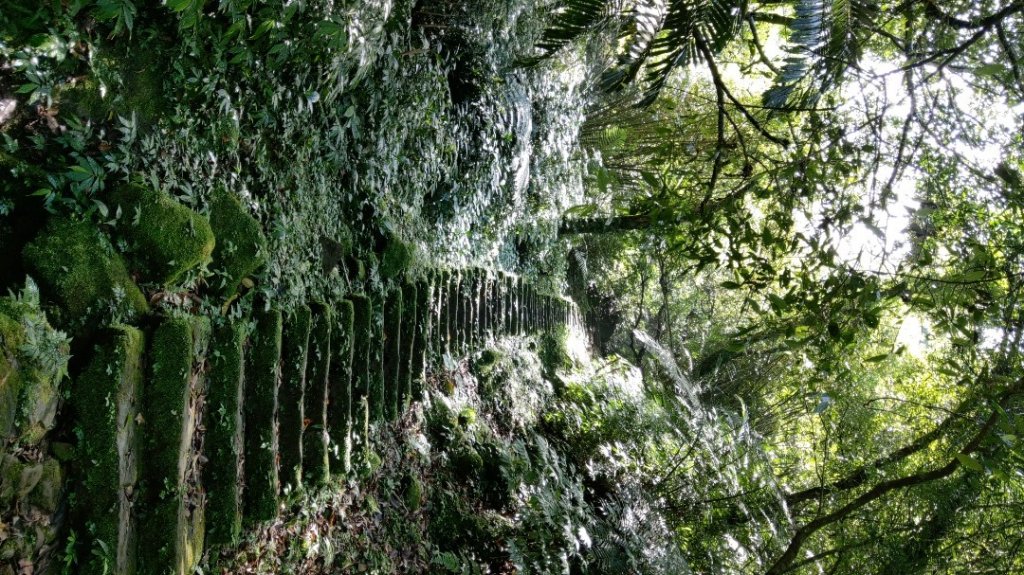 孝子山慈母峰普陀山_1117024
