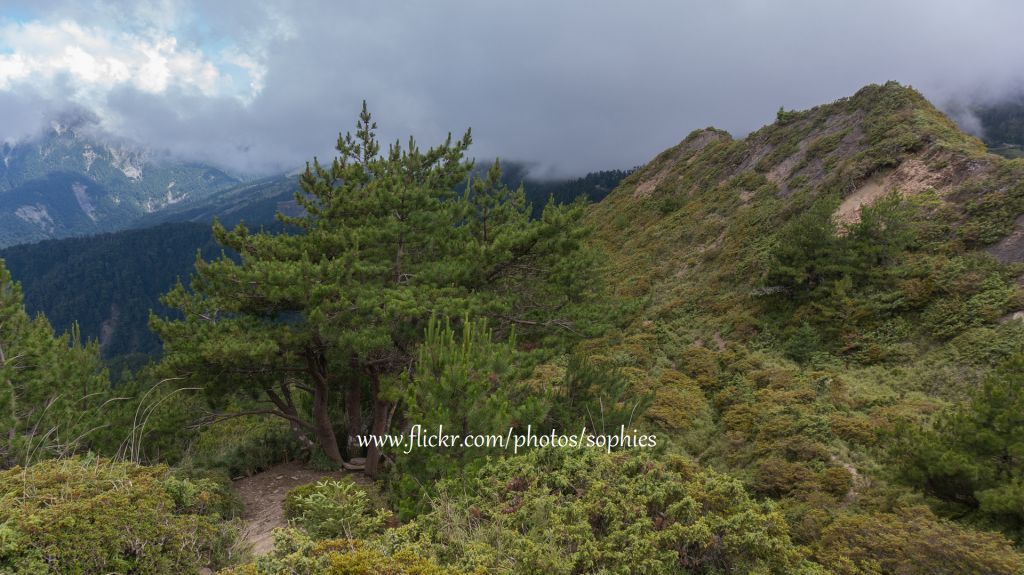 20180714合歡山北峰_376313