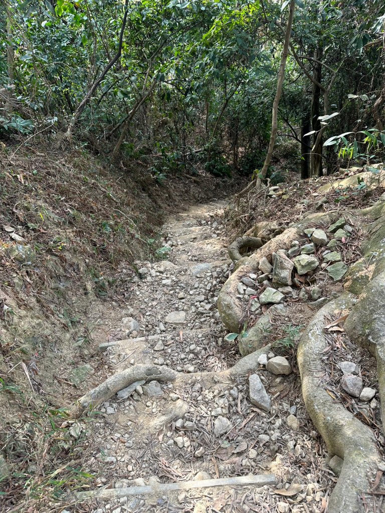 真的很硬的尾寮山_2039238