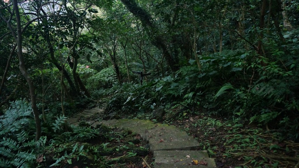 三峽(長壽山)→土城(天上山) 縱走_1233161