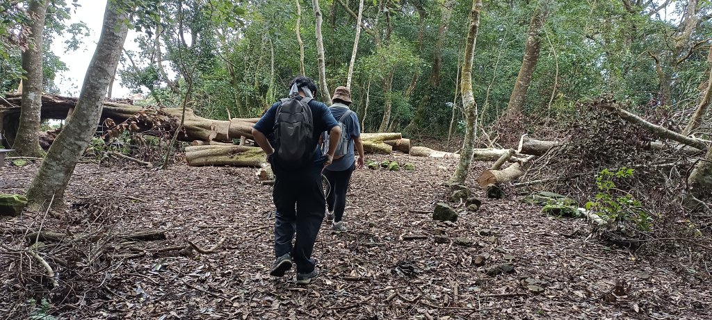 2024/08/18_馬那邦山步道_2576207