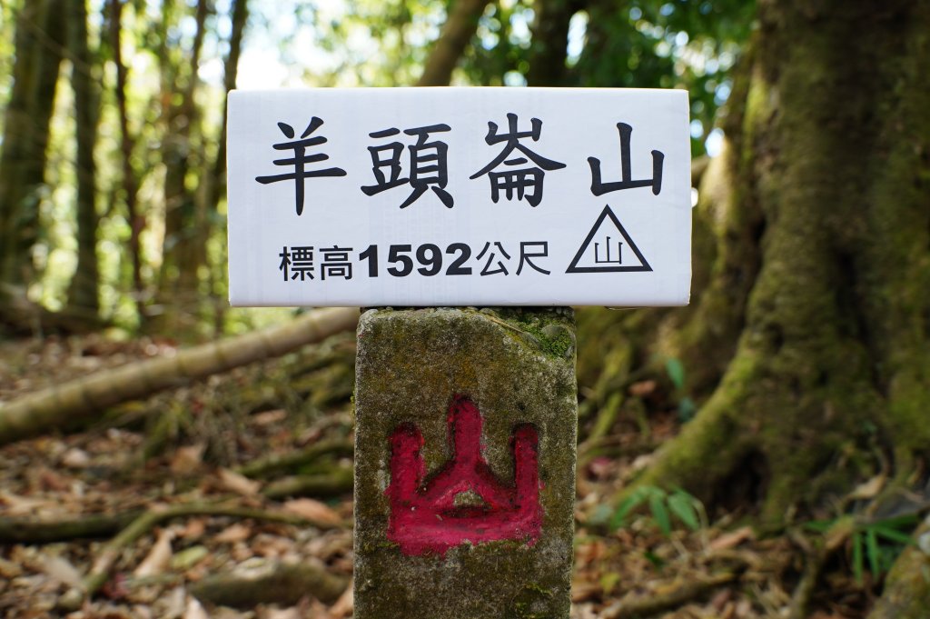南投 鹿谷 龍鳳山、龍鳳峽山、三叉崙山、水桶寮山、內樹皮山、羊頭崙山、志騰山、竹崙山、溪頭山封面圖