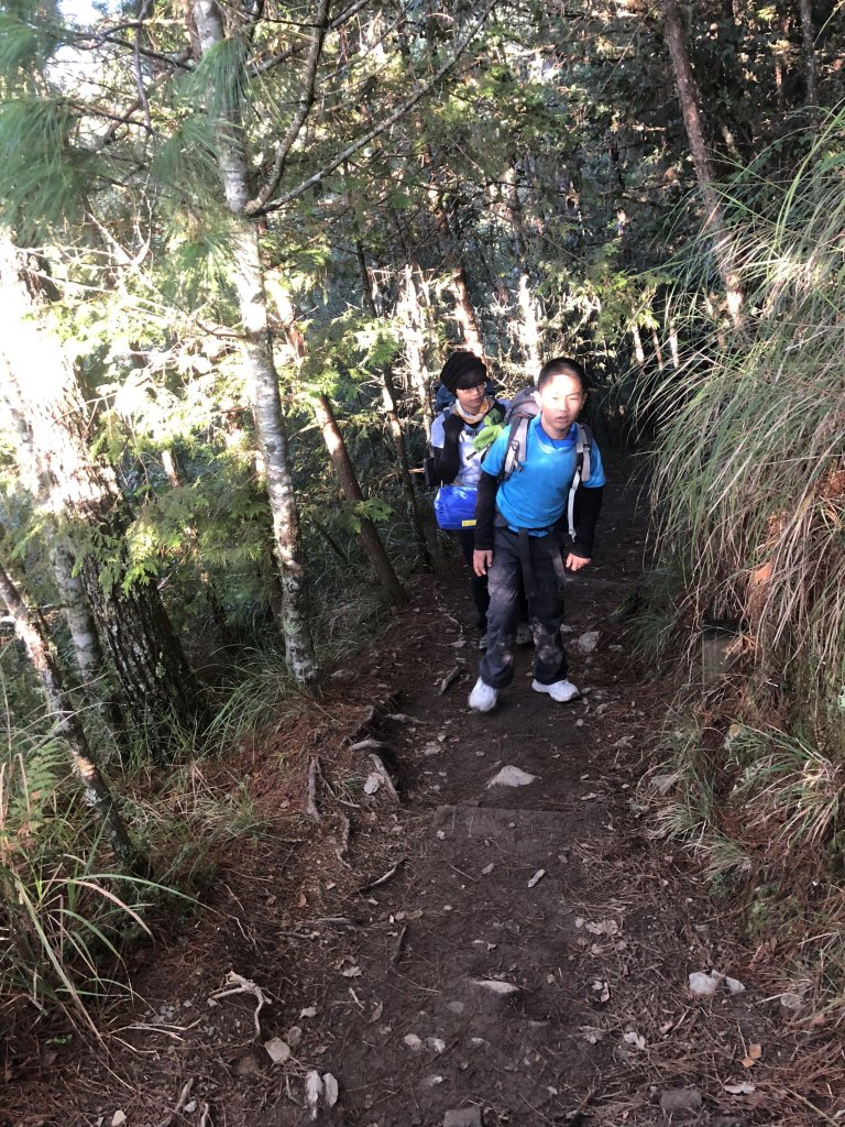 雪山 不下雪_532920