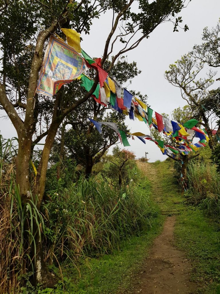 2019.03.26 汐止-大尖山風景區_553332