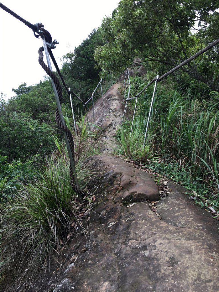 皇帝殿登山步道_559958