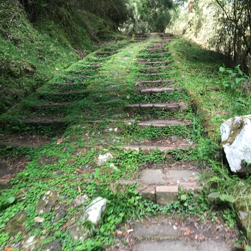 塔塔加五連峰順走玉山登山口_968644