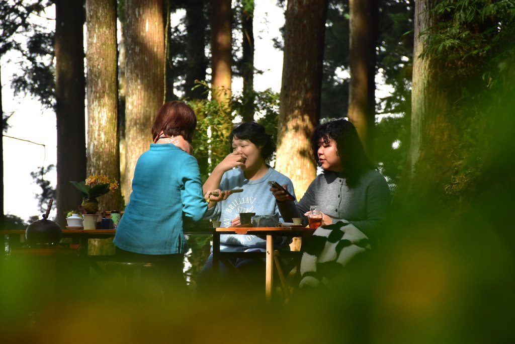2026.02.07~02.08阿里山健行 & 阿里山石棹森林茶席(嘉義/登山/JRJ紀錄分封面圖