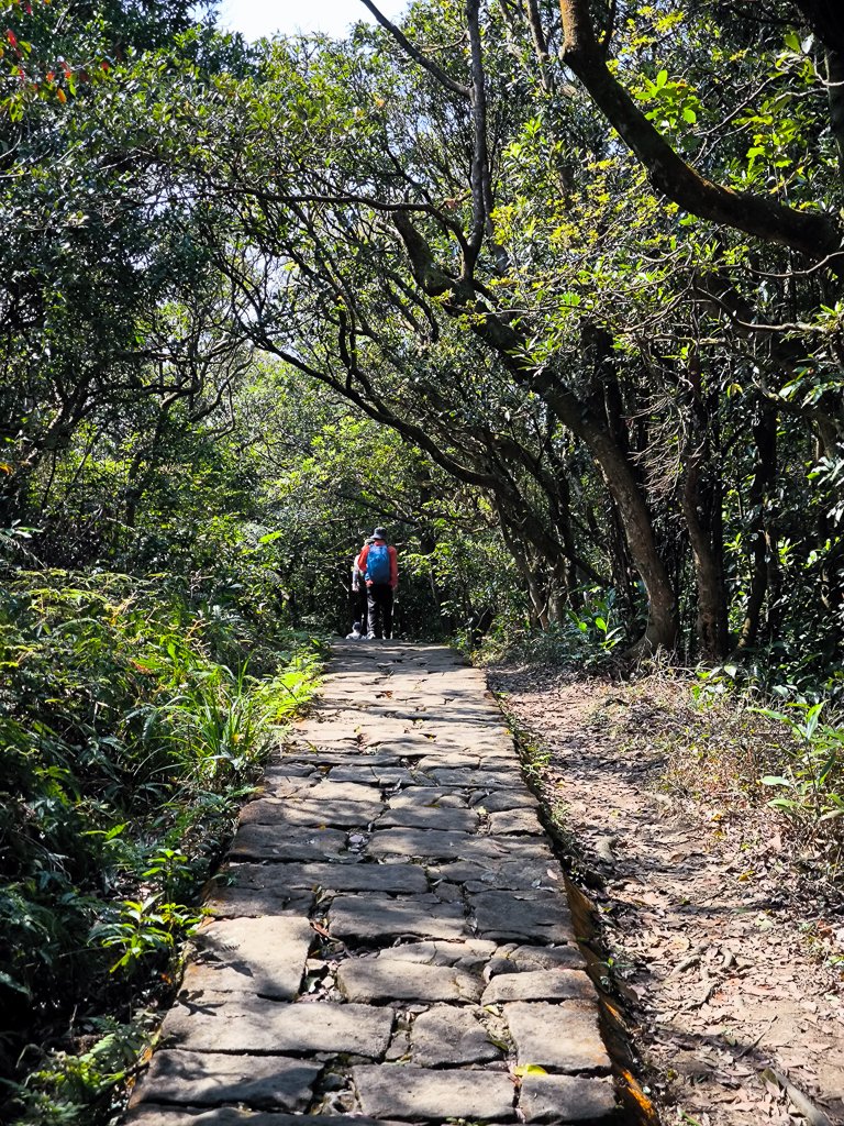 2026-02-22 內湖雙心縱走_3006816