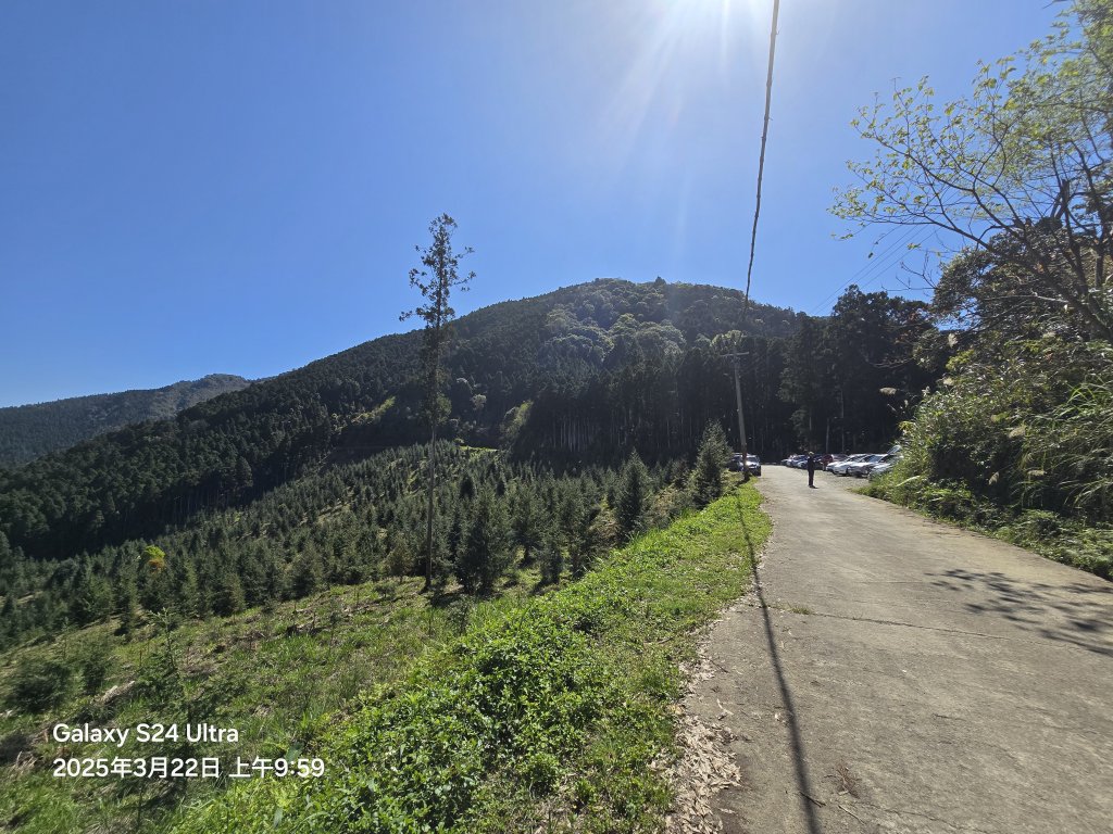 2025-03-22油羅山步道_2743389