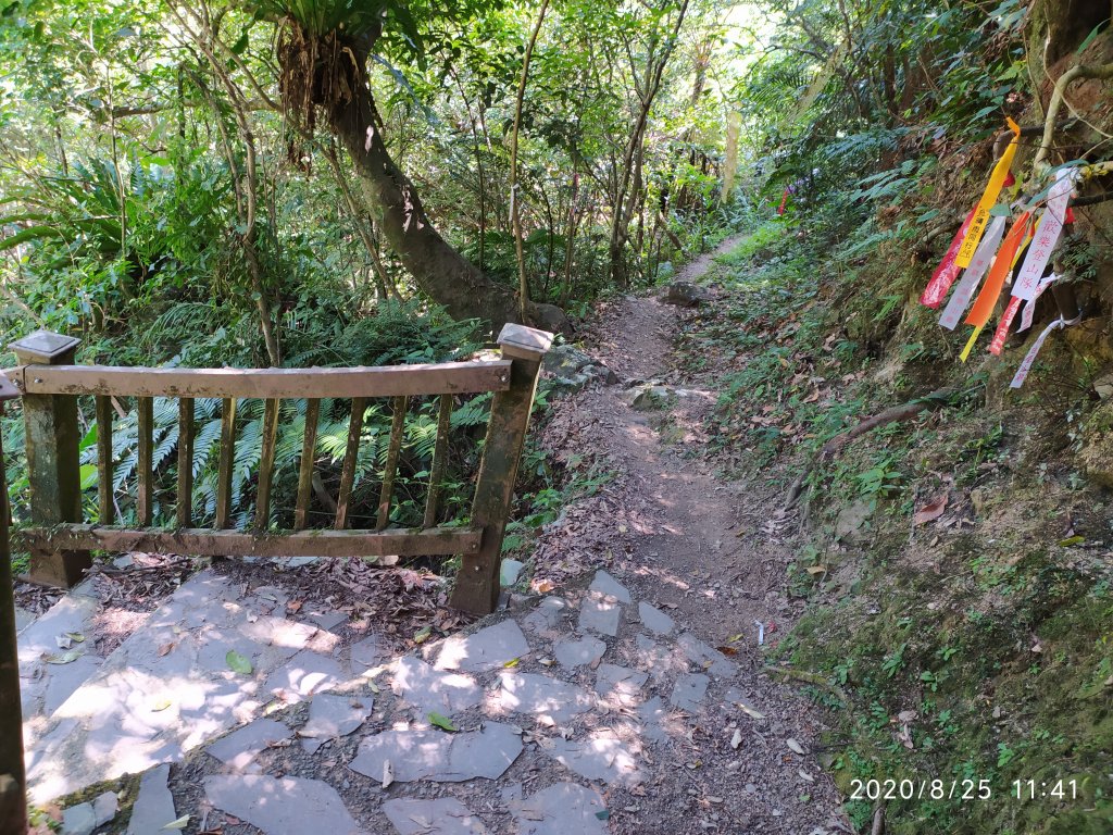 闊瀨古道O形線_1079770