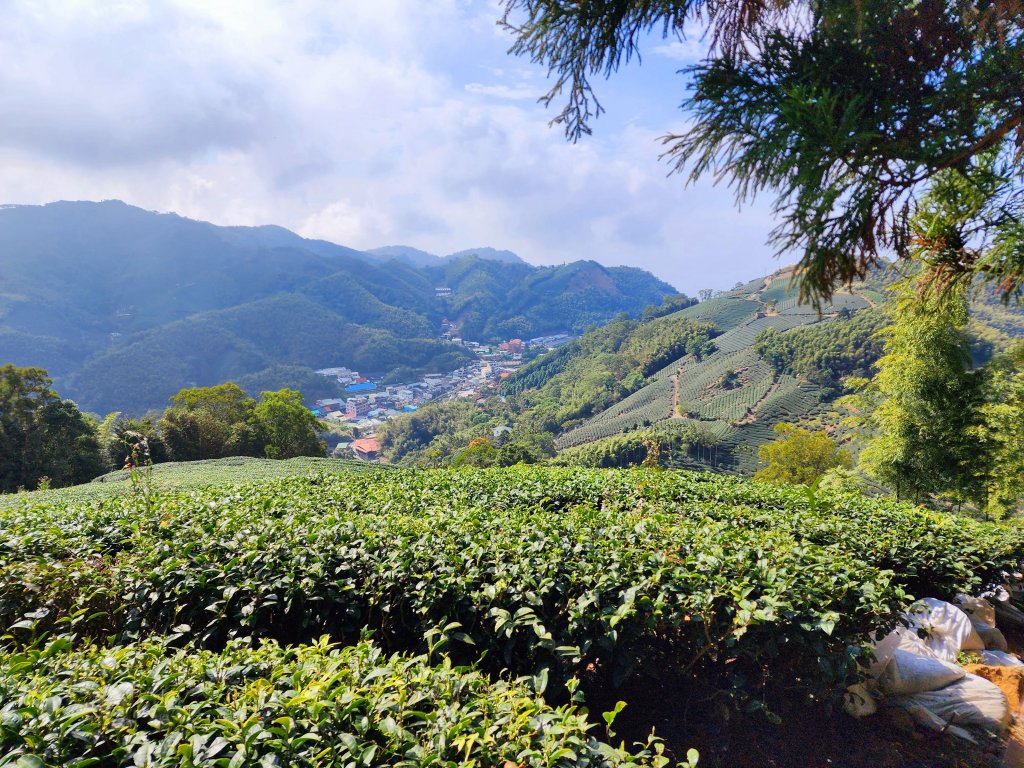 小百岳集起來-梨子腳山_2182942