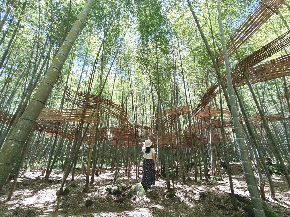 小半天孟宗竹林古戰場+長源圳生態步道Ｏ形封面圖