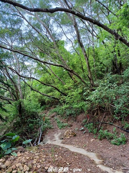 【屏東獅子】山海相望。 小百岳集起來。 編號80小百岳~里龍山自然步道_1734662