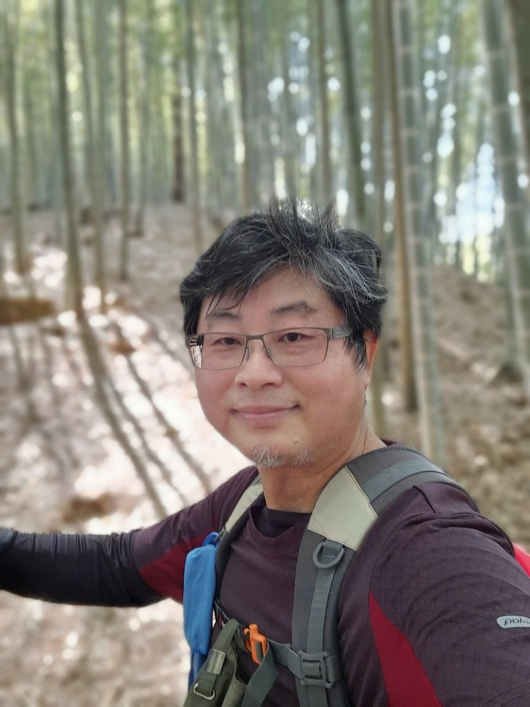 《南投》竹林台灣杉｜溪頭山竹崙山志騰山O繞20230218_2035863