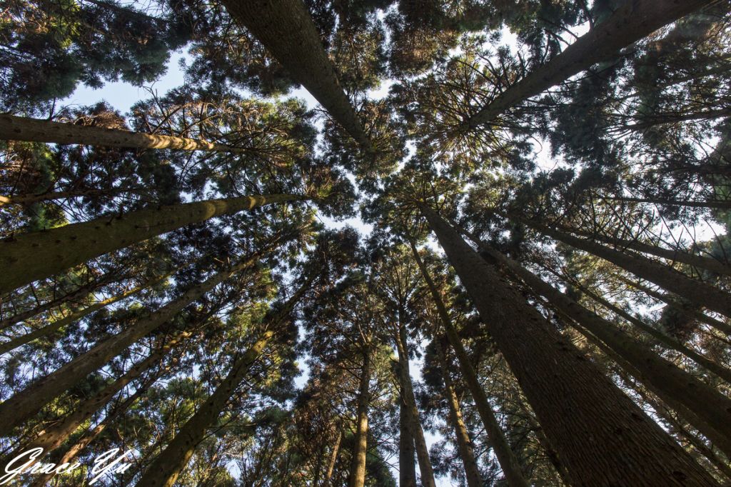 2018.3.30 加里山_303489