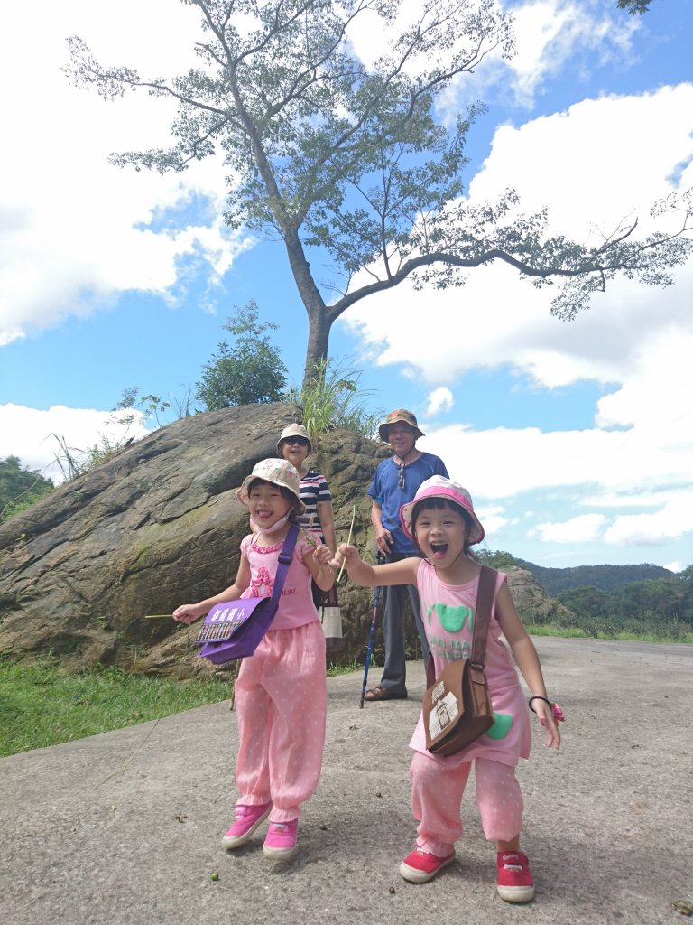 來一杯純淨熊空茶_1453351