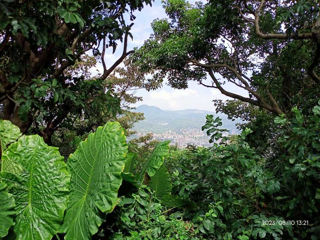 【臺北大縱走 1、走路趣尋寶】北投清天宮→下青礐步道→貴子坑步道→小坪頂路→忠義山步道→捷運關渡站_2244749