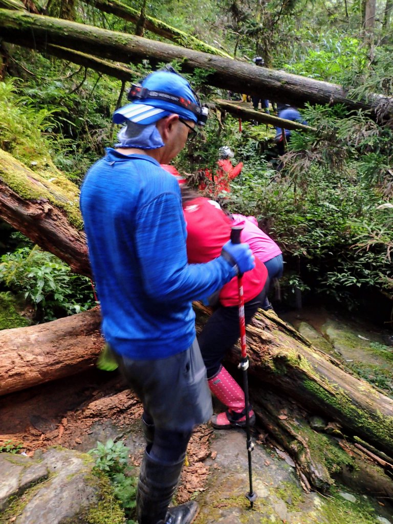 新阿溪縱走_447008