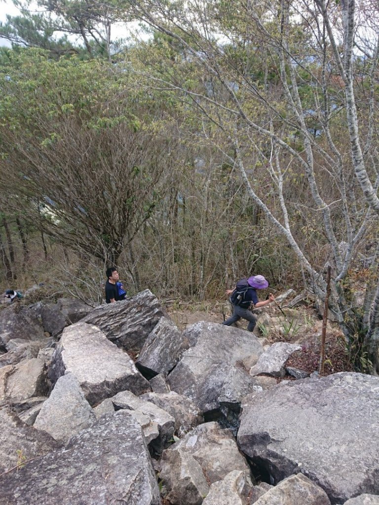 谷關七雄之五～東卯山_1283066