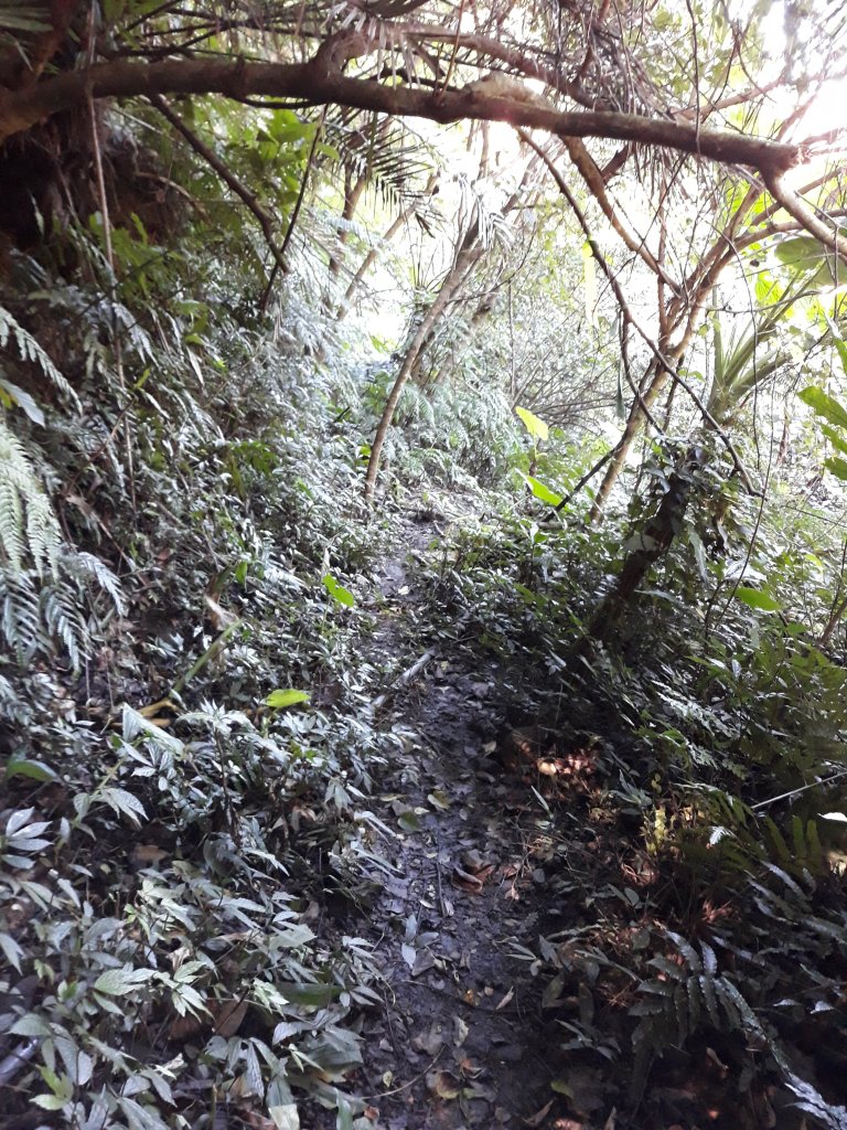 四分子古道、月扇湖山大岩壁 _477304