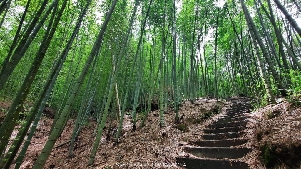 《雲林》望好望角｜石壁山嘉南雲峰步道(中側登山口）20250607_2805328
