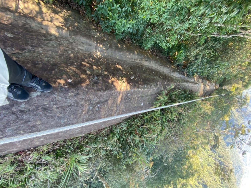 桃園大溪-打鐵寮古道-白石山_2612657