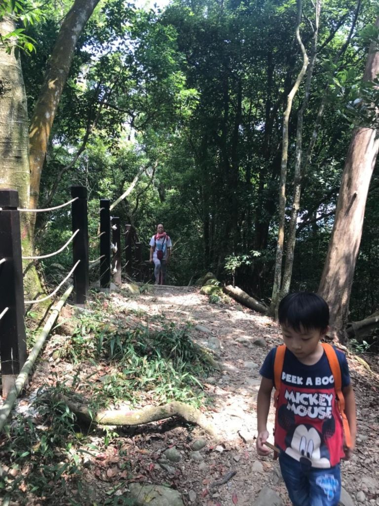 大坑登山步道是練腳力的好地方_342225