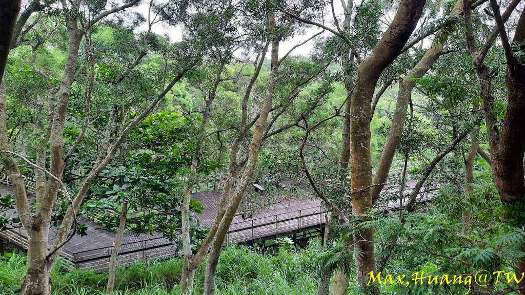 《台中》雙園連走｜東大公園連走都會公園20231007_2305929