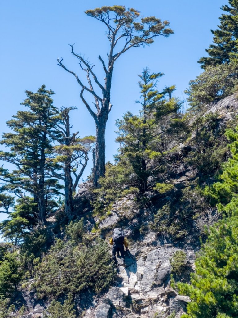 歐買尬～干卓萬橫斷四天_1488781