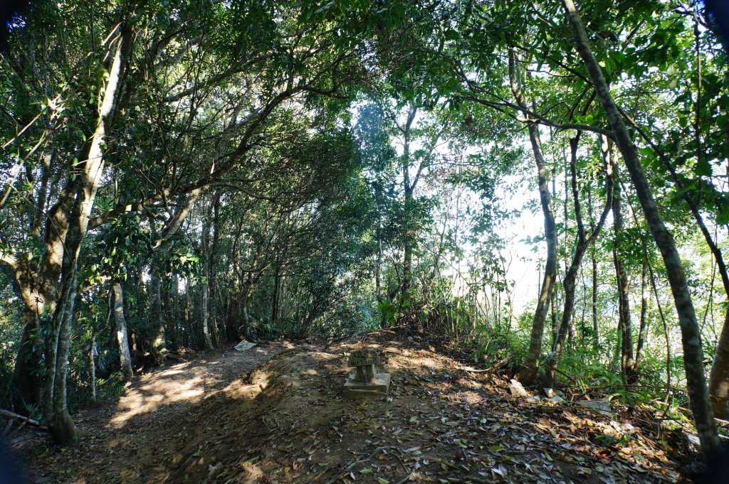 苗栗 卓蘭 大克山_2967903