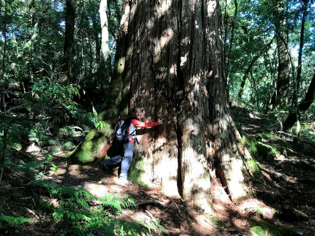 鎮西堡毒龍潭AB區神木20180513_1963032