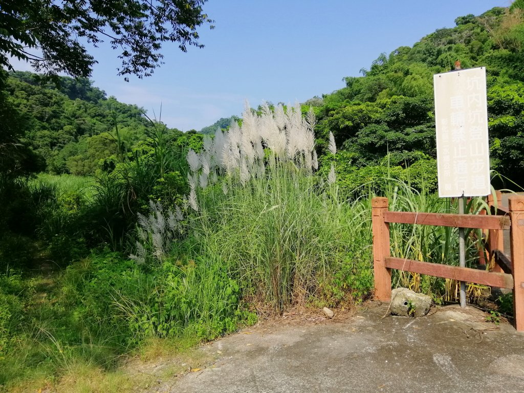 二水~台灣百大必訪步道~坑內坑森林步道_1123425