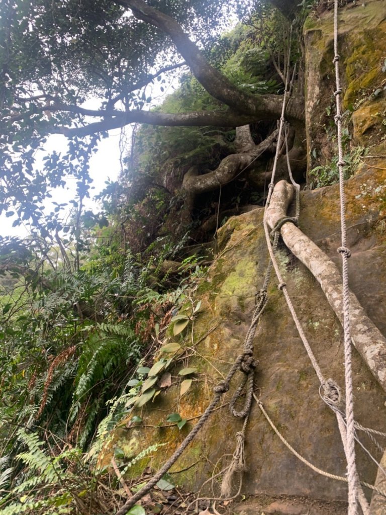 20200129麟光站到中華科大封面圖