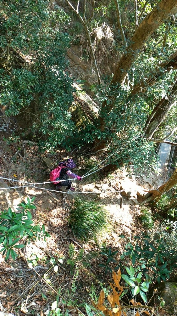 【獵鷹尖、一線天】連走【梅峰、竹子尖山】_872216