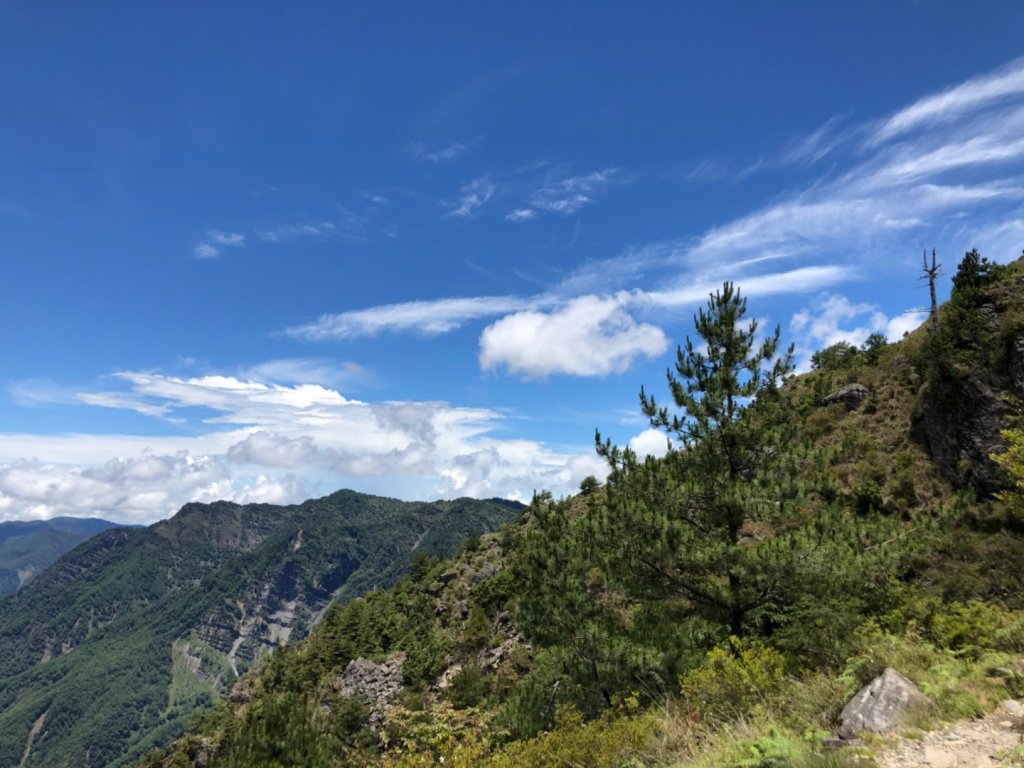 玉山主峰一日往返_1030217