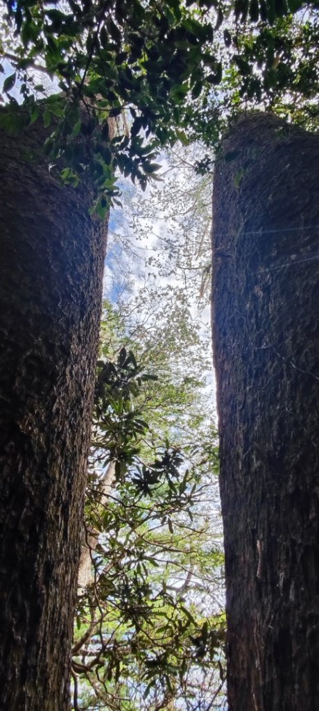 大雪山進屋我尾_2652480