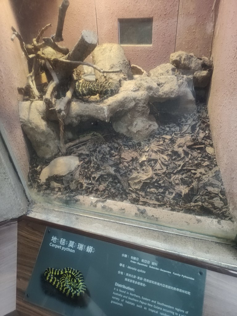 台北動物園_2663990