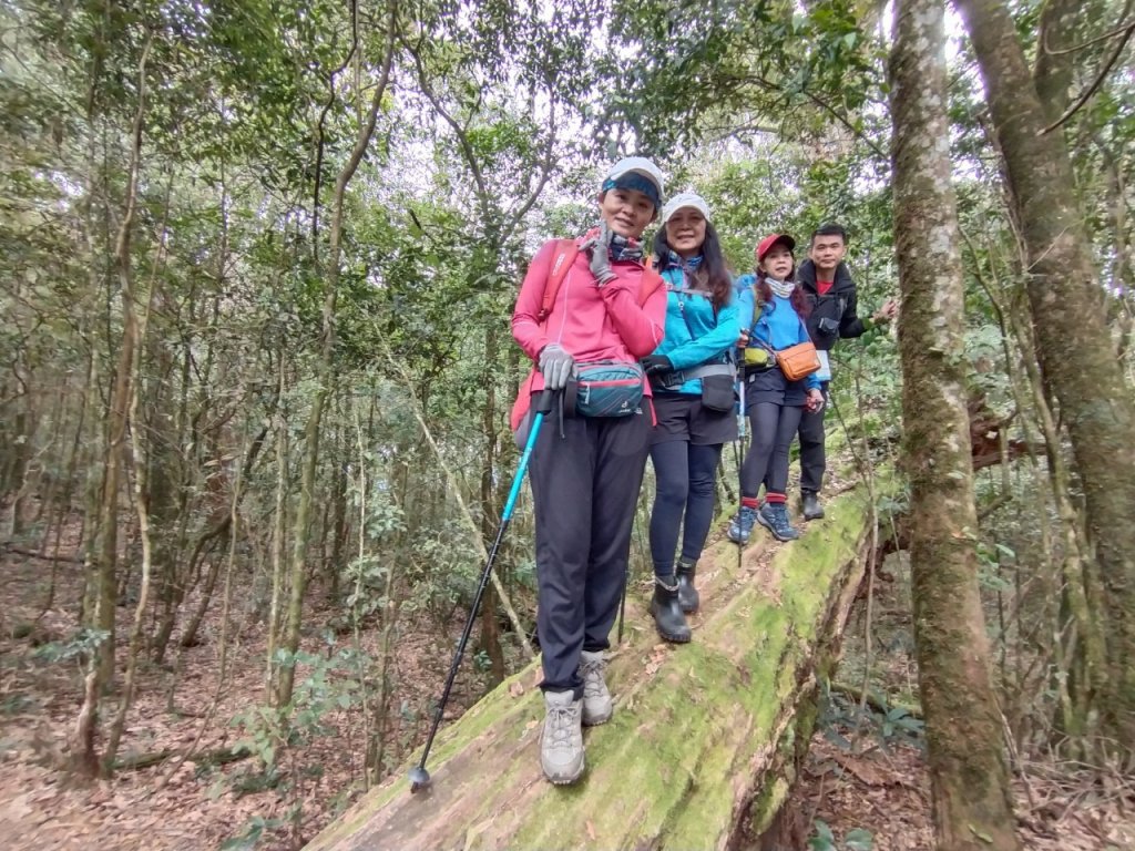 2022年02月13日(彰山協)南投日月潭四兄妹之中級山~大尖山縱走水社大山_1613424