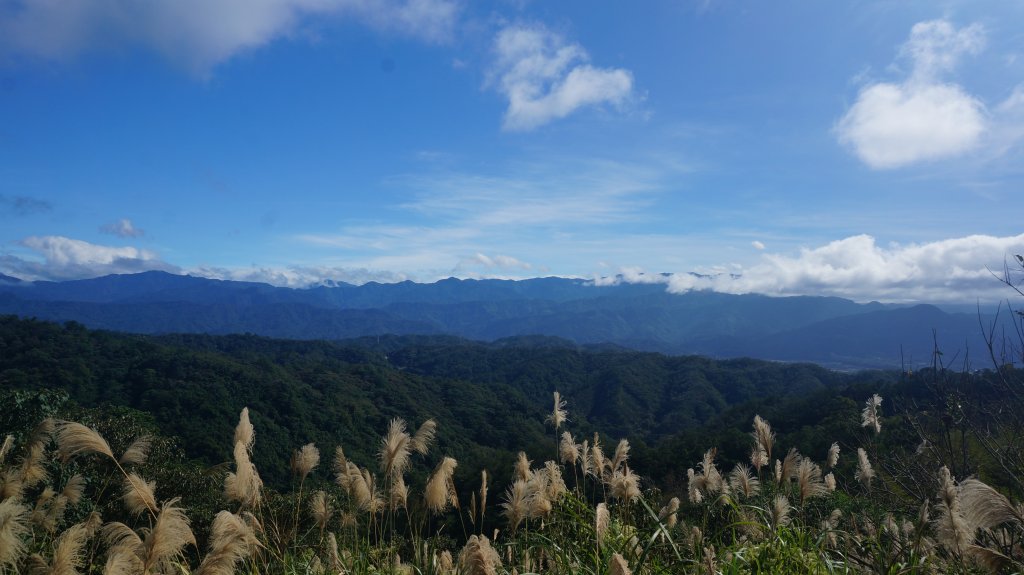 飛鳳山+石壁潭生態步道封面圖