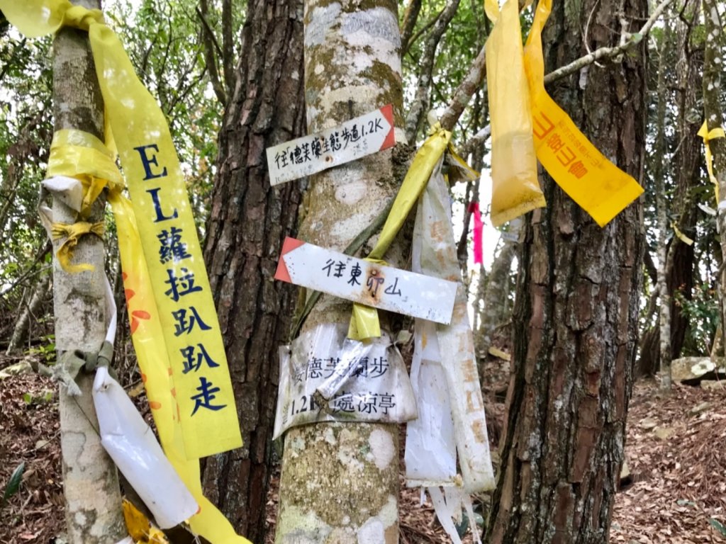德芙蘭步道環走東卯山_565669