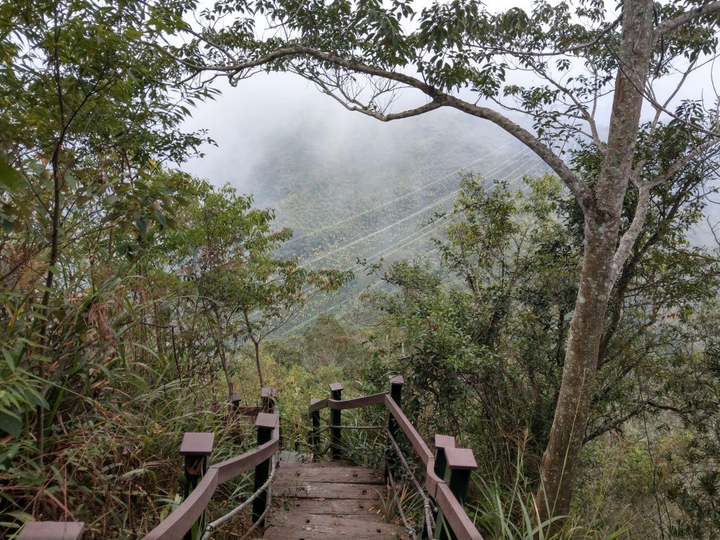 南投後尖山(小百岳#52)步道 (2020/10/24)封面圖