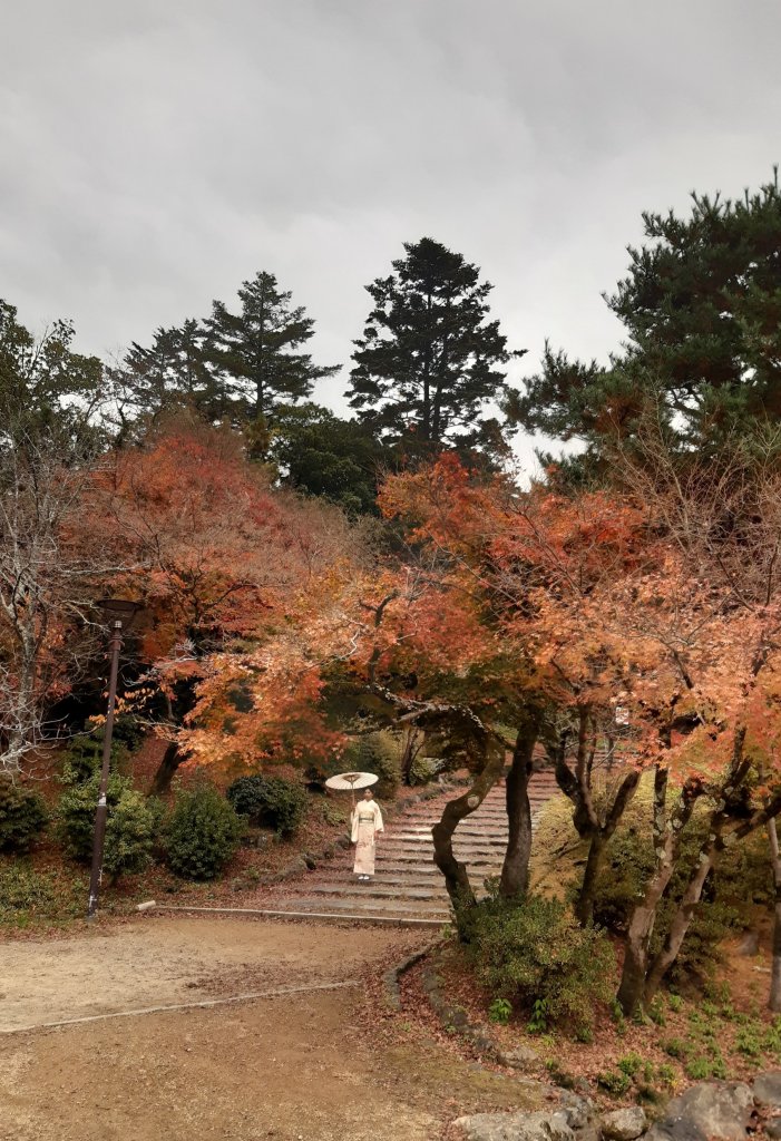 【海外健行】知恩院-大谷祖廟-円山公園-坂神社散策_1939290