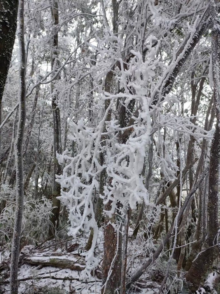 雪季北得拉曼_2956383