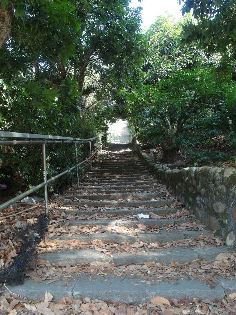 彰化百果山藤山步道、臥龍坡、萬里長城步道_95818