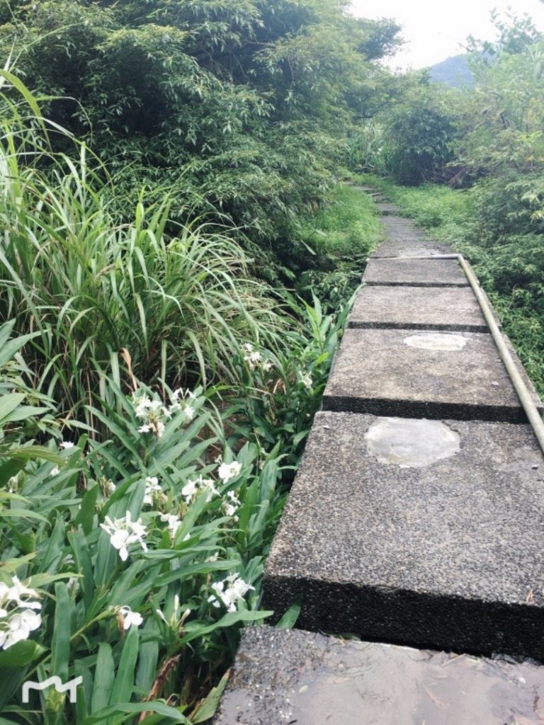 自得其樂山友群：平溪三尖，我少一尖_466199