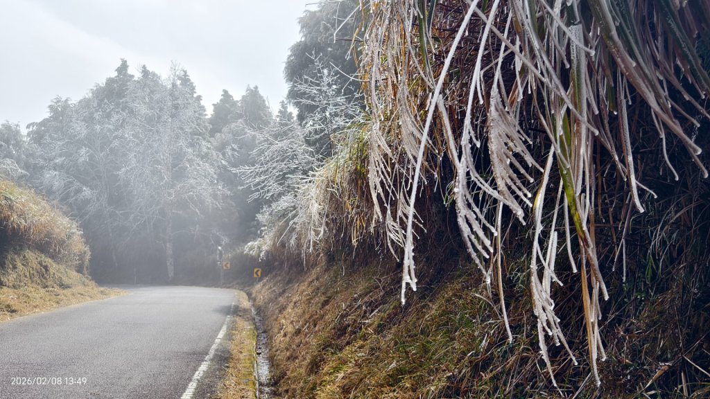 #霧淞 #雲海 #雲瀑 #霧虹 #太平山 #望洋山 #觀雲步道 #翠峰道路  2/8_2995357