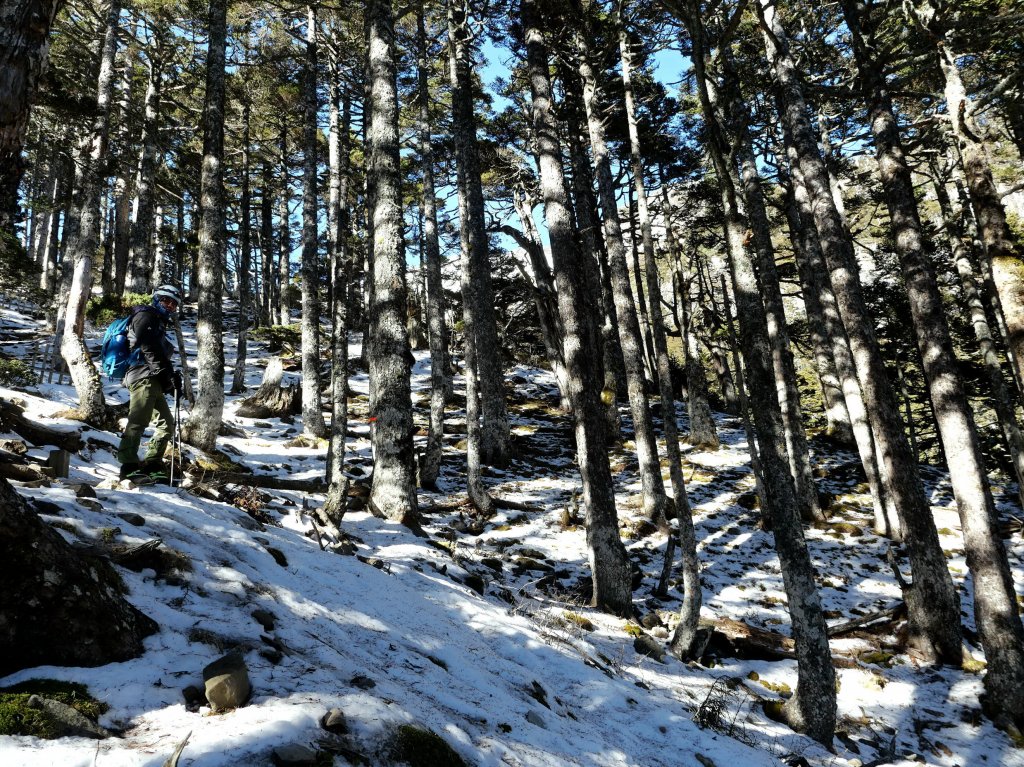雪山圈谷 除夕 賞雪玩冰 2022/01/31_1604805