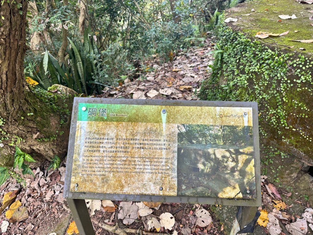 桃園-虎頭山_2613748